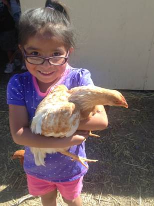 Environment Activities - Learning about the chickens and goats